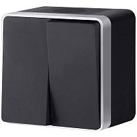 Выключатель накладной Werkel Gallant 2-кл. IP44 черный с серебром картинка